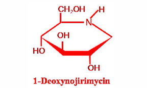 1-脫氧野霉素（DNJ）