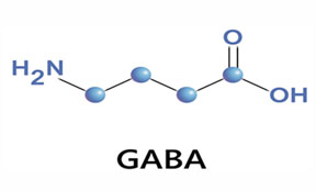 Fermented GABA